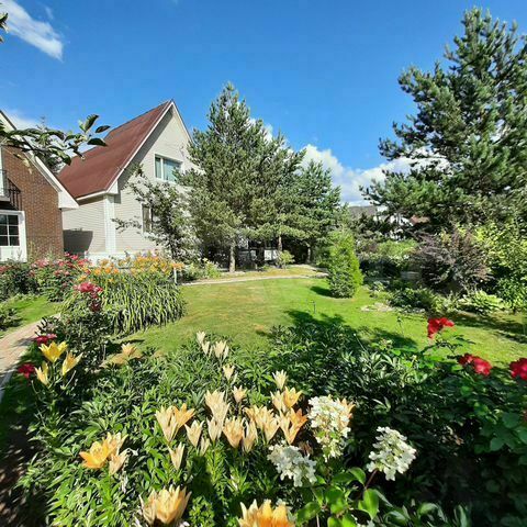 фото- вид на лужайку у дома пансионата "Долголетие" фото- вид на лужайку у дома пансионата "Долголетие"