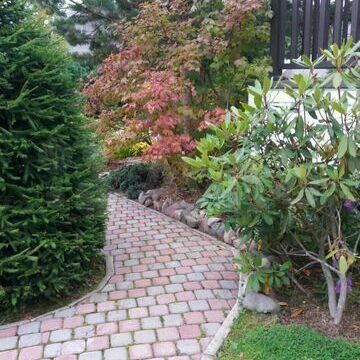 фото - мощённая дорожка в саду дома престарелых "Долголетие" фото - мощённая дорожка в саду дома престарелых "Долголетие"