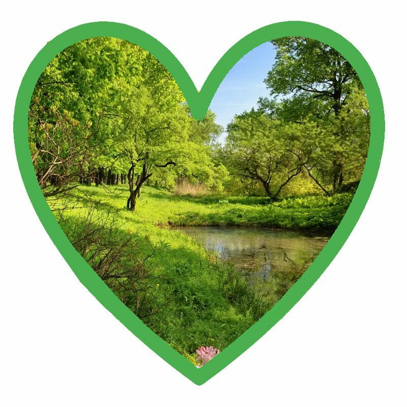 Пансионат для пожилых расположен в экологически чистом районе рядом с Санкт-Петербургом Пансионат для пожилых расположен в экологически чистом районе рядом с Санкт-Петербургом